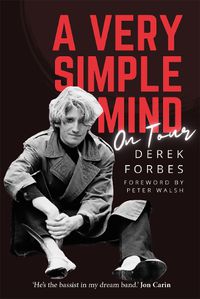 Cover image for A Very Simple Mind