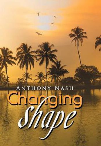 Cover image for Changing Shape