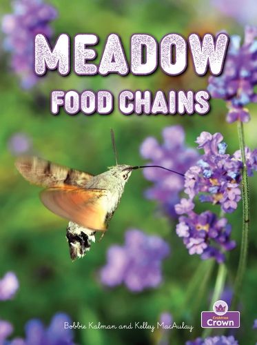 Cover image for Meadow Food Chains