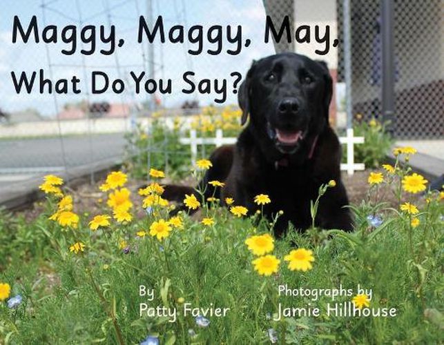 Cover image for Maggy, Maggy, May, What Do You Say?