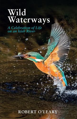 Cover image for Wild Waterways