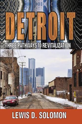 Cover image for Detroit: Three Pathways to Revitalization