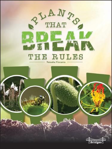 Cover image for Plants That Break the Rules