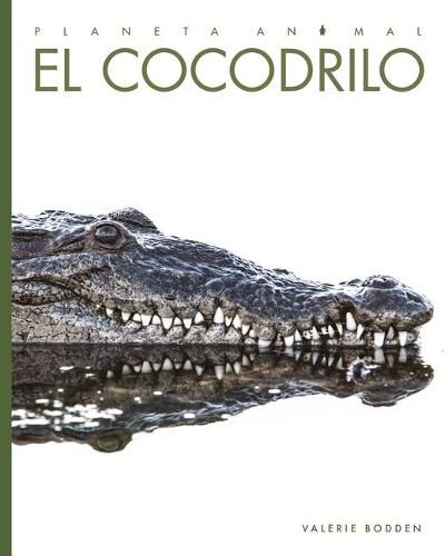 Cover image for El Cocodrilo