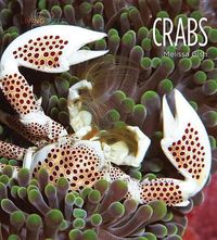 Cover image for Crabs