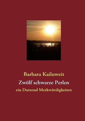 Cover image for Zwoelf schwarze Perlen: ein Dutzend Merkwurdigkeiten