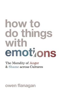 Cover image for How to Do Things with Emotions