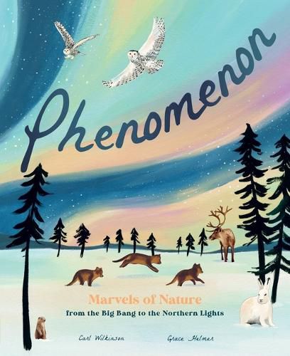 Cover image for Phenomenon