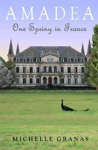 Cover image for Amadea: One Spring in France