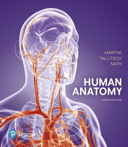 Cover image for Human Anatomy