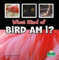 Cover image for What Kind of Bird Am I?