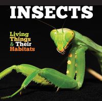 Cover image for Insects