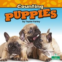 Cover image for Counting Puppies