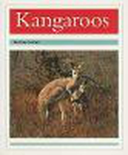 Cover image for Kangaroos: Individual Student Edition Turquoise (Levels 17-18)