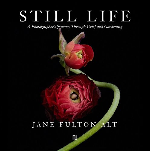 Cover image for Jane Fulton Alt: Still Life