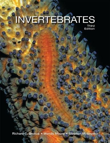 Cover image for Invertebrates