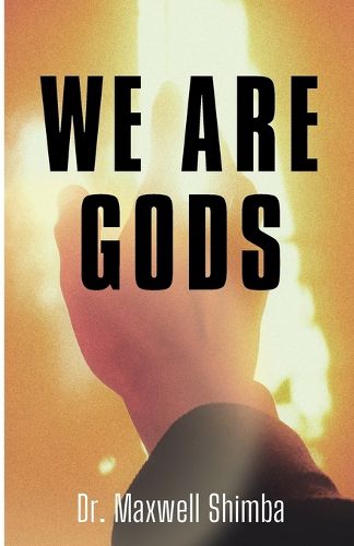 Cover image for We Are Gods