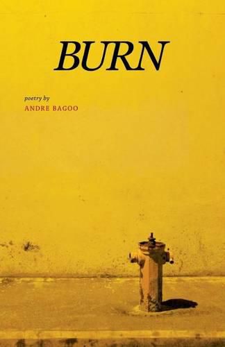 Cover image for Burn