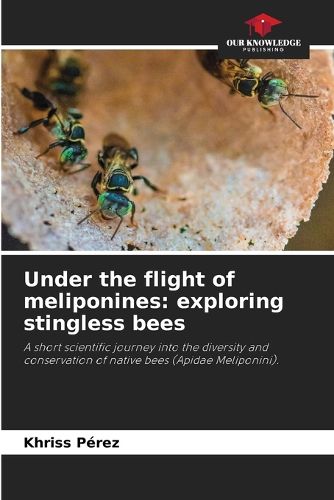 Cover image for Under the flight of meliponines
