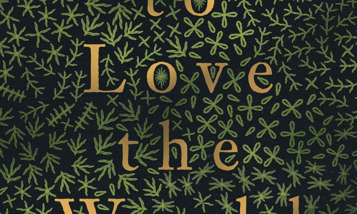 How to Love the World by Ilka Tampke — Readings Books
