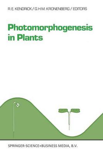 Cover image for Photomorphogenesis in plants