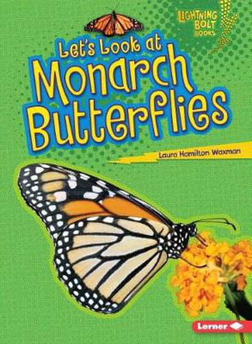 Lets Look at Monarch Butterflies