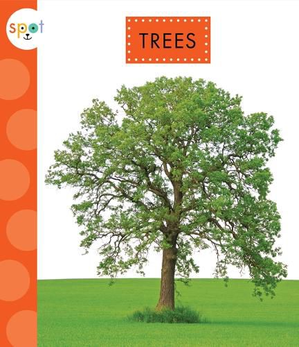 Cover image for Trees