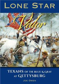 Cover image for Lone Star Valor: Texans of the Blue & Gray at Gettysburg