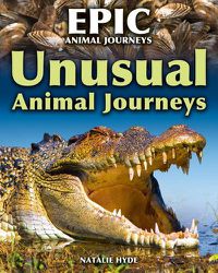 Cover image for Unusual Animal Journeys