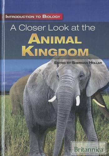 Cover image for A Closer Look at the Animal Kingdom