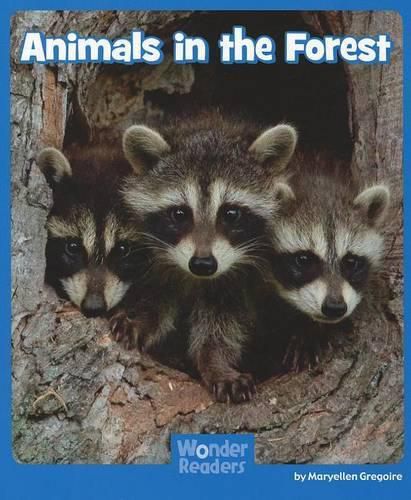 Cover image for Animals in the Forest