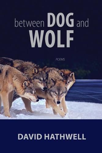 Cover image for Between Dog and Wolf