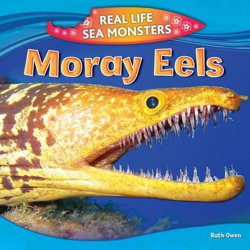 Cover image for Moray Eels