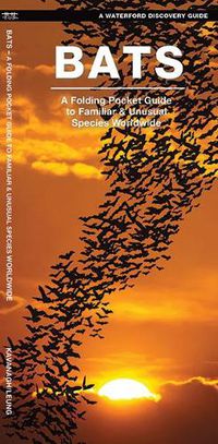 Cover image for Bats: A Folding Pocket Guide to the Status of Familiar Species