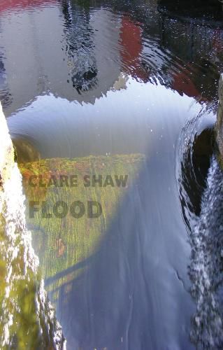 Cover image for Flood