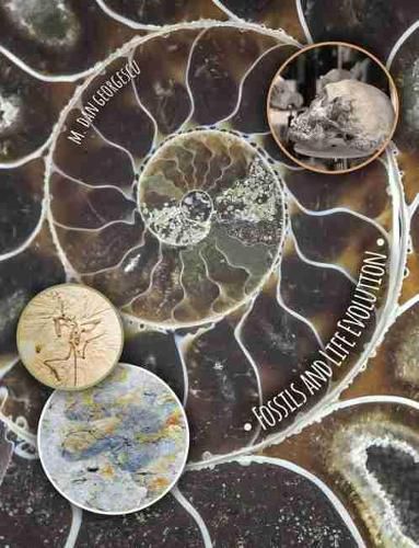 Cover image for Fossils and Life Evolution