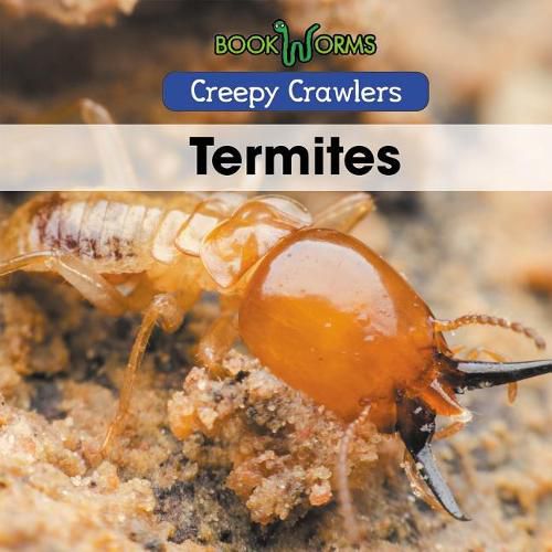 Cover image for Termites