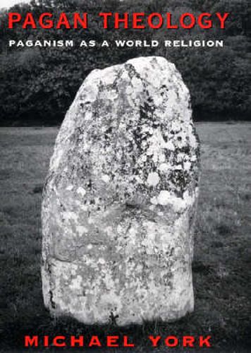 Cover image for Pagan Theology: Paganism as a World Religion