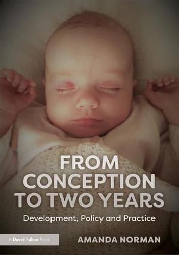 Cover image for From Conception to Two Years: Development, Policy and Practice