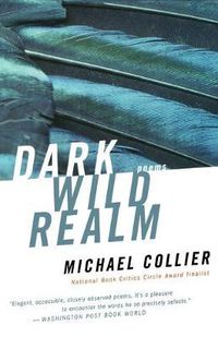 Cover image for Dark Wild Realm