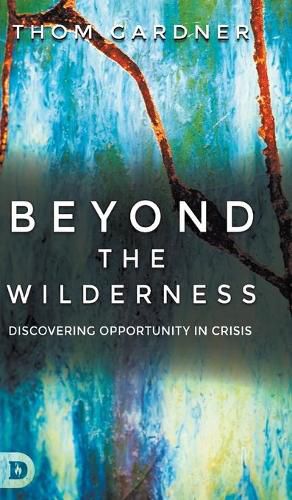 Cover image for Beyond the Wilderness: Discovering Opportunity in Crisis