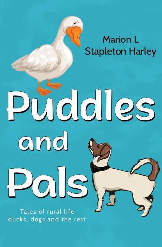 Cover image for Puddles and Pals