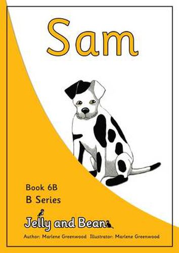 Cover image for Sam