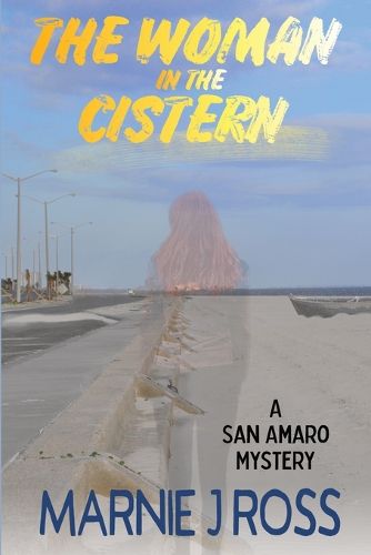 Cover image for The Woman in the Cistern