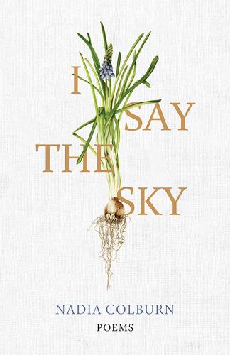 Cover image for I Say the Sky