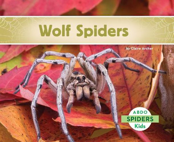 Cover image for Wolf Spiders