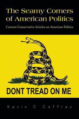 Cover image for The Seamy Corners of American Politics