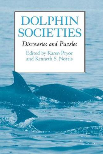 Cover image for Dolphin Societies: Discoveries and Puzzles