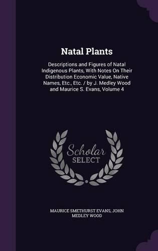 Natal Plants: Descriptions and Figures of Natal Indigenous Plants, with Notes on Their Distribution Economic Value, Native Names, Etc., Etc. / By J. Medley Wood and Maurice S. Evans, Volume 4