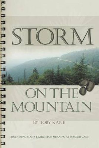 Cover image for Storm on the Mountain:One Young Man's Search for Meaning at Summer Camp